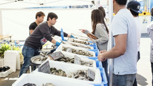 Oyster legends on the shuck at Sydney Fish Market.