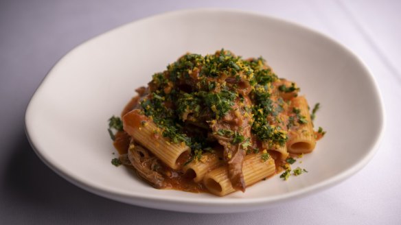 Rigatoni with a lamb ragu.