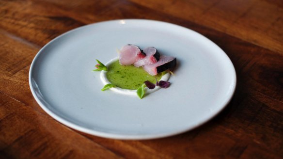 Bonito and fermented cucumber with a ring of feta at LuMi.