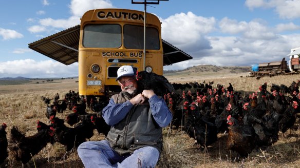 Papanui farm uses buses converted into mobile chicken coops to move the birds around their farm and produce 'open range' eggs.