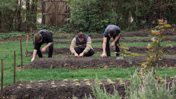 Healthy soil is essential for a flourishing vegie patch. 