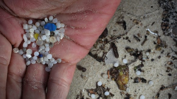 Dave West holds small bits of plastic that he found on the beach. 