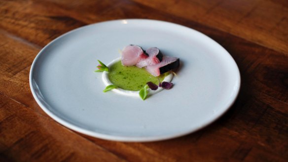 Bonito and fermented cucumber with a ring of feta at LuMi Bar & Dining.