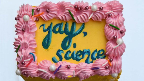 One of Zahara Valibhoy's vaccine-themed cakes.