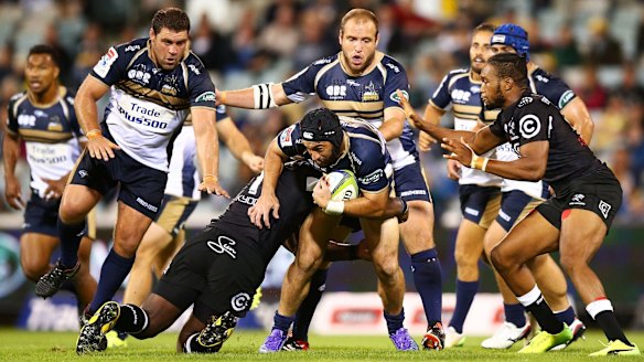 ACT Brumbies journeyman Isaac Thompson makes Super Rugby debut at 29