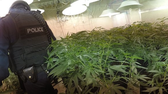 Our current laws prop up crime syndicates and waste police resources.