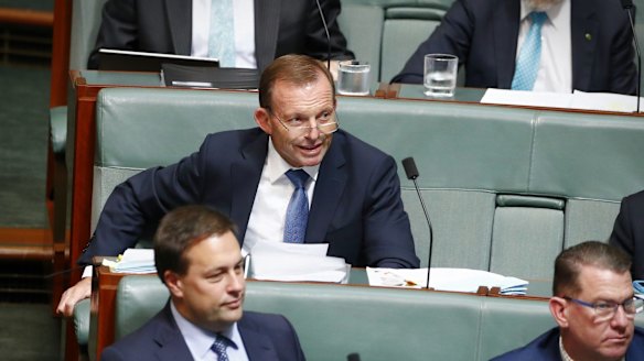 Tony Abbott's proposal to reduce immigration, close the Human Rights Commission and cut subsidies for solar and wind energy triggered a flood of support from Liberals.