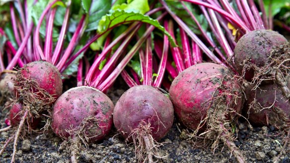 The ICC Sydney has ordered nine tonnes of beetroot from across NSW.