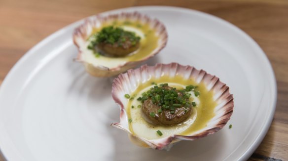 Scallops with fennel puree and salmoriglio.