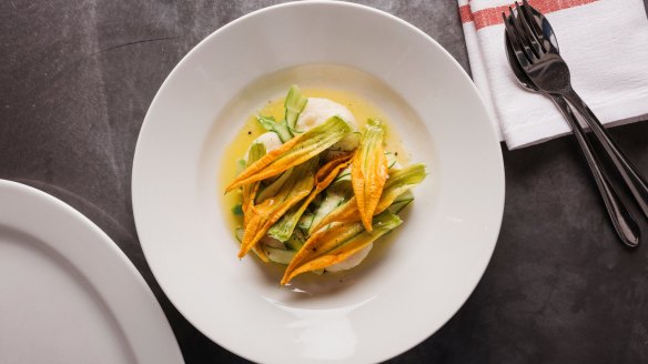 Ricotta gnudi with lightly cooked zucchini and zucchini flowers.