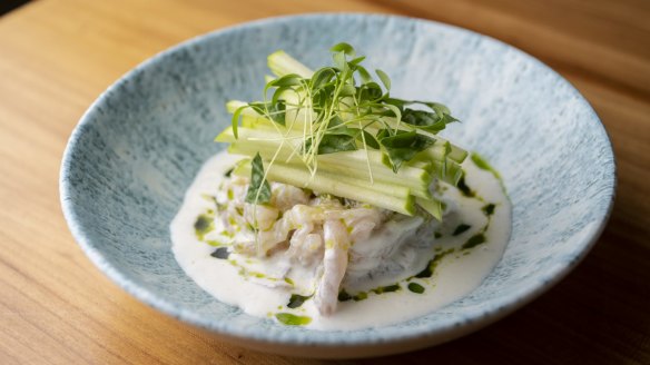 Kingfish ceviche with apple. 