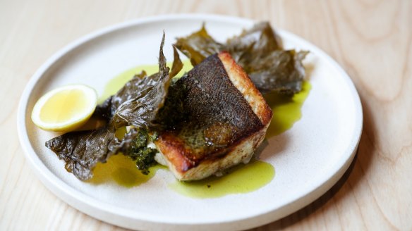 Murray cod with macadamia, vine leaf, salsa verde at Nomad Up The Road.