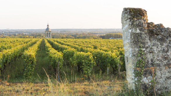 For fans of chenin blanc, Vouvray, in France's Loire Valley, is the place to be.