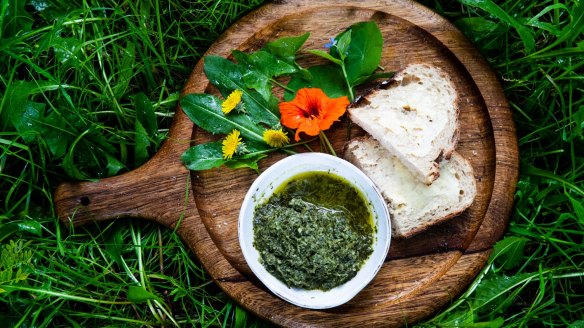 Bonetto's three-weeds salsa verde with nasturtium flowers, dandelion, scurvy weed and rambling dock. 