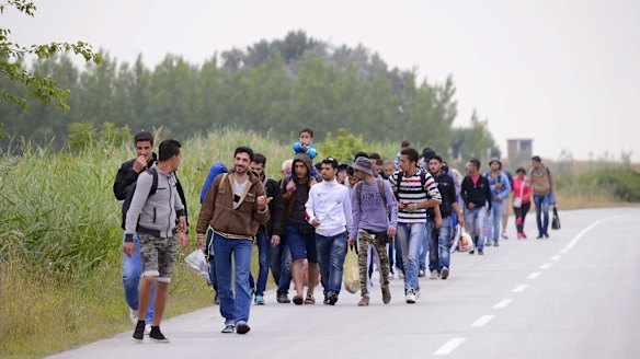 Syrian migrants, headed for EU member Hungary, walk in groups through northern Serbia on Thursday. 