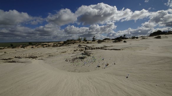 Sand dunes near Lake Mungo: Blue markers are where stone tools were found, green markers where animal food remains were found.