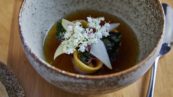 Maremma duck tortellini with witlof and consomme.