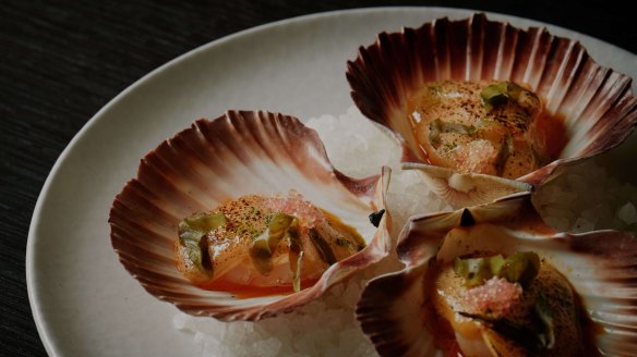 Flinders Island scallop, brown butter, finger lime.