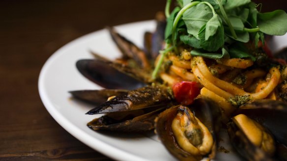 Go-to dish: Tonnarelli wtih mussels and herb crumb.