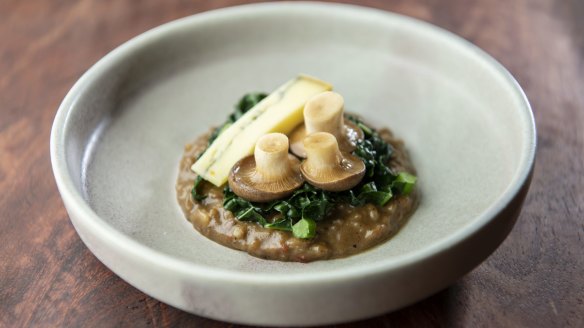 Mother Fungus mushrooms, risotto, fermier cheese, cavolo nero.