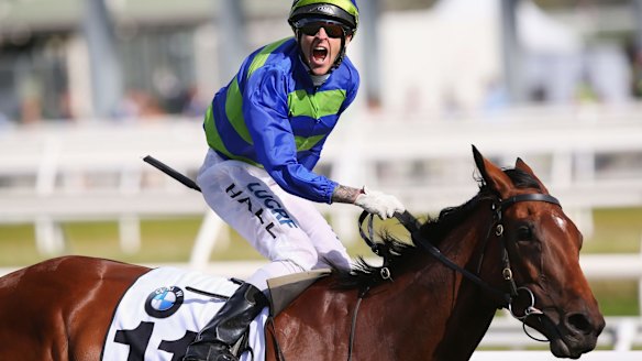 Melbourne yearling sales hope to crack the $1 million barrier for the ...
