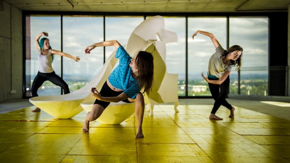 The Art, Not Apart festival in Acton would be funded under a Labor government despite a funding scare last month. 