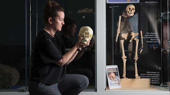 'We found the missing 20,000 years': Dr Kira Westaway at Macquarie University's 'Homo floresiensis' display.