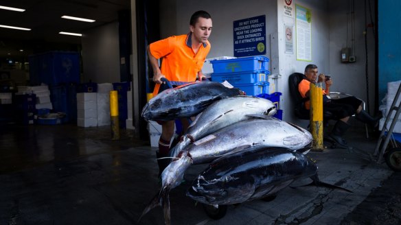 By the time the market closes at 5pm on Christmas Eve, the six wet fish retailers will have served 100,000 customers about 700 tonnes of seafood.
