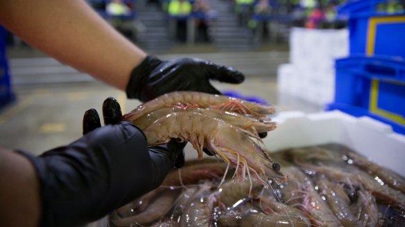 Be prepared to pay at least $30 a kilo for prawns.