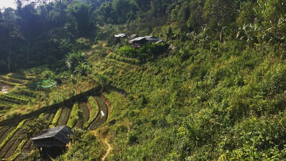 Once used to grow opium, the tiered farmland in northern Thailand is now devoted to organic produce.