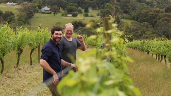 Winemakers Tom McCarthy and Lucas Blanck walk through the Kerri Greens 'Duke' vineyard in Red Hill.