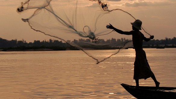 The Mekong River: A fisherman casts a net on the Mekong River, home to Irrawaddy dolphins, also known as the Mekong dolphins, at Kampi village in Kratie province, Cambodia.