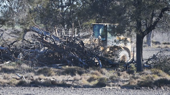 Removing trees along the Newell Highway in the state's far north.