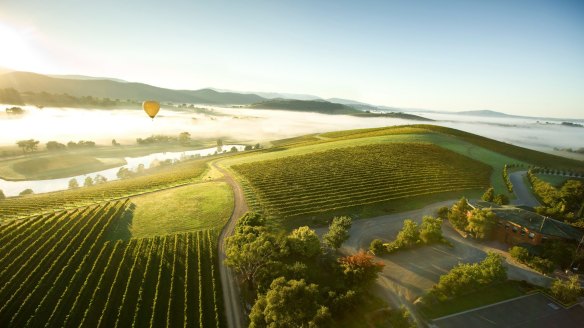 New Yarra Valley wineries are producing stylish wines that don't cost a fortune.