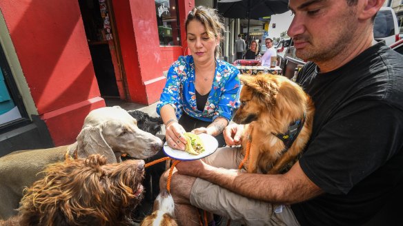 Hungry dogs Captain, Ilsa, Rosco, Allan and Nikki tuck into tacos with Anita Basile and Tom Lillecrapp at Little Hop. 