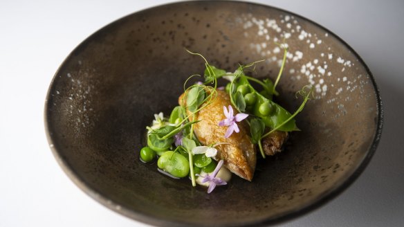 Roast quail, spring peas, young garlic and shoots. 