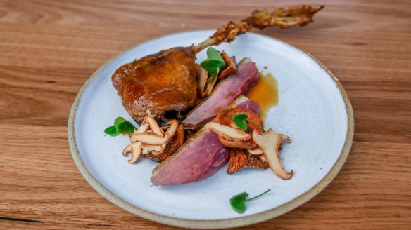 Great Ocean Duck with pine mushrooms.