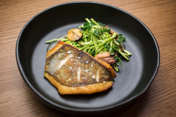 Go-to dish: Roasted john dory, mussels, celeriac & caper salad.