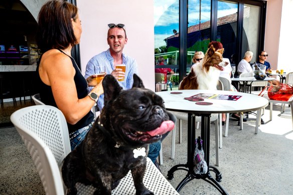 Dog-friendly pub Illinois Hotel at Five Dock, Sydney.