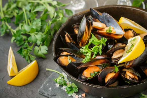 Throw away mussels with broken shells or those with shells agape that don't close when tapped.