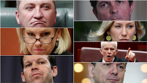 The High Court is considering the eligibility of seven MPs: (anti-clockwise from top left) Barnaby Joyce, Fiona Nash, Matt Canavan, Nick Xenophon, Malcolm Roberts, Larissa Waters and Scott Ludlam. 