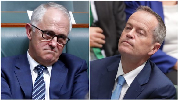 Prime Minister Malcolm Turnbull and Opposition Leader Bill Shorten should agree to audit the citizenship status of all MPs.