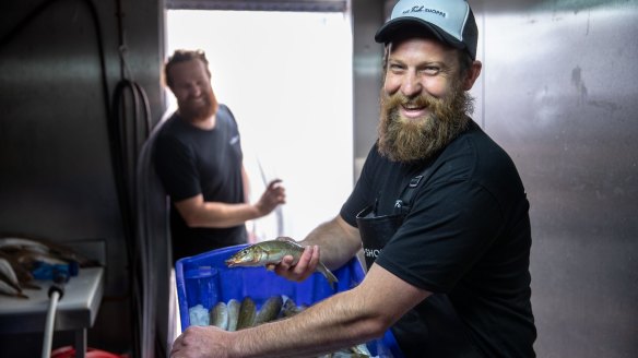 Josh Pearce, owner of The Fish Shoppe, with fresh King George whiting from Corner Inlet.