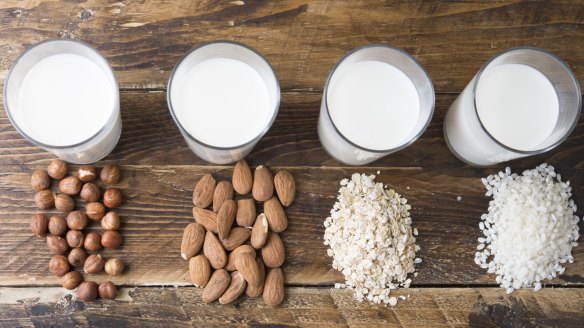 Vegan milk alternatives. From left hazelnuts, almonds, oats and coconut.