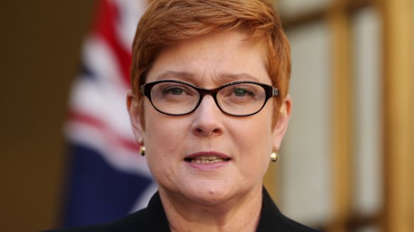 "The investigation into the incident is being finalised": Defence Minister Marise Payne.
