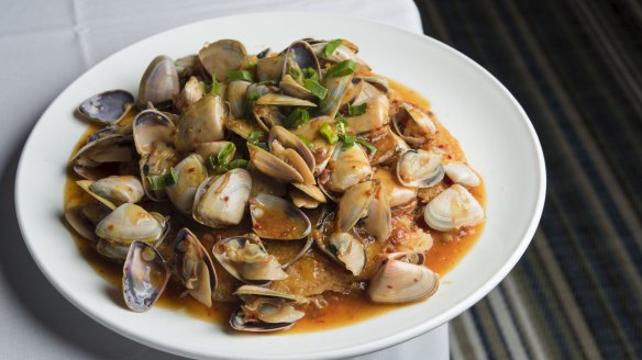 Golden Century's signature pipis and XO sauce.