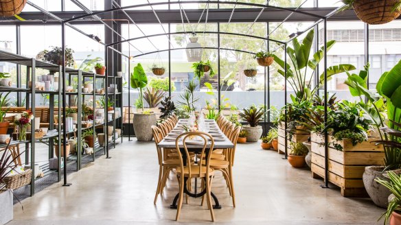 Greenery decorates the light-filled cafe/bakery section.