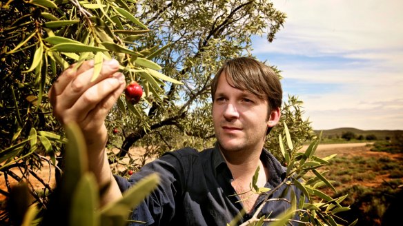 Danish chef Rene Redzepi helped popularise Australian ingredients such as quandongs.