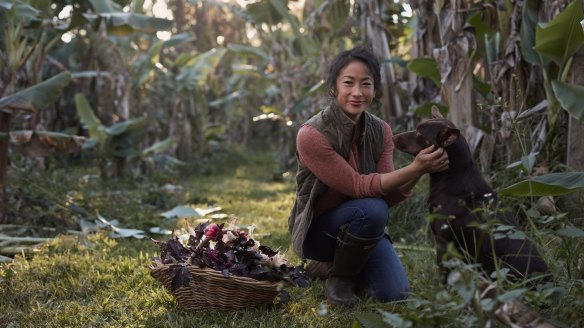 Palisa Anderson's Boon Luck Farm.