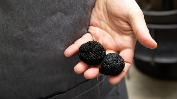 Truffle season is here for just eight weeks. 